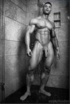 Naked muscleman 🌈 HOT studio: MAN OF THE DAY: Damon Danilo